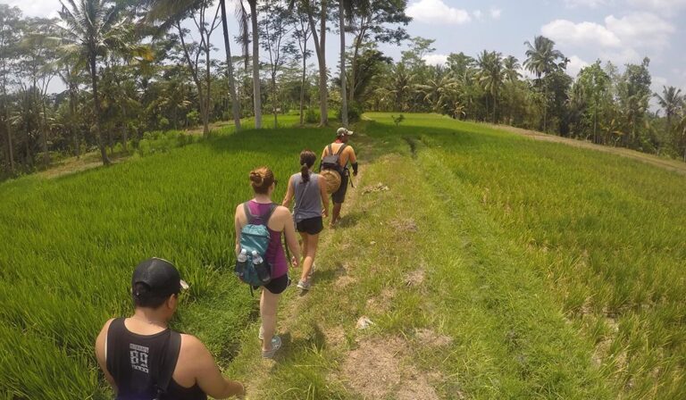 Ubud Hiking